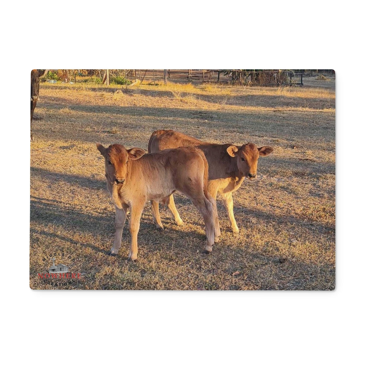 Bert & Ernie Glass Chopping Board