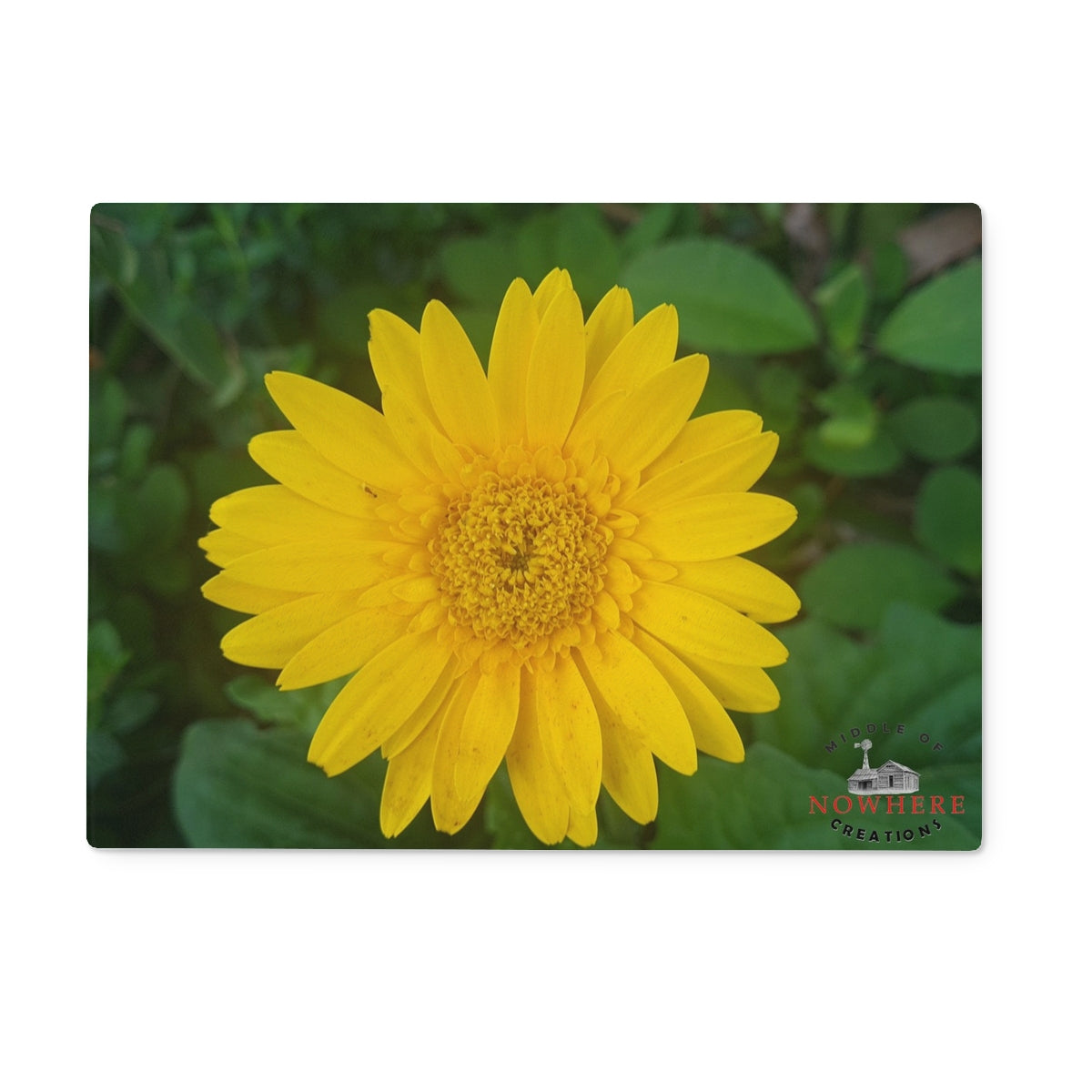 Yellow Gerbera Glass Chopping Board