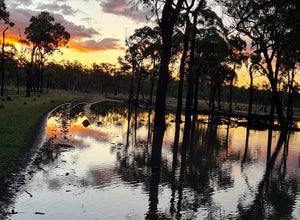 Sunset Reflections