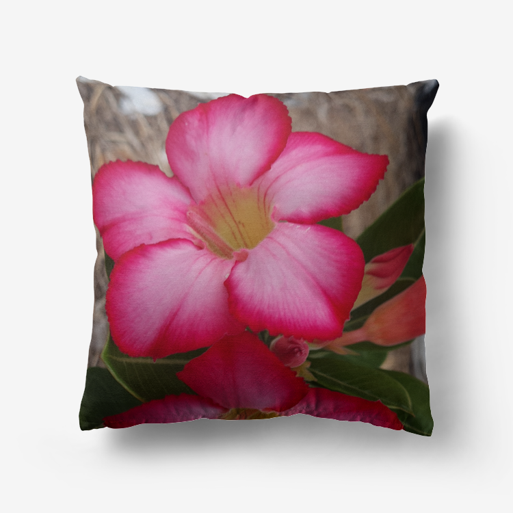 Desert Rose Premium Hypoallergenic Throw Pillow