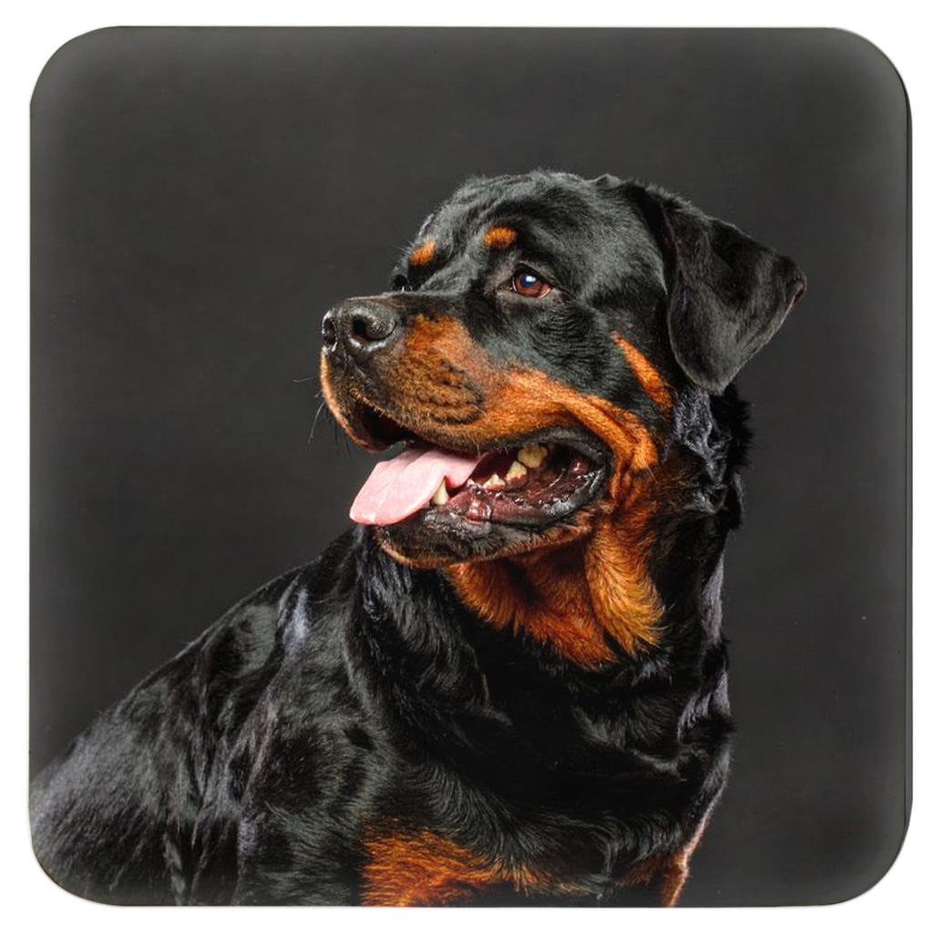 Coaster-375x375-4Set-20250723163445532