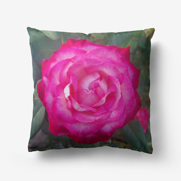 Pink Rose Premium Hypoallergenic Throw Pillow