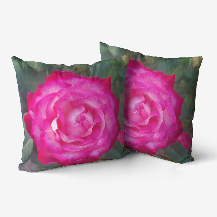 Pink Rose Premium Hypoallergenic Throw Pillow
