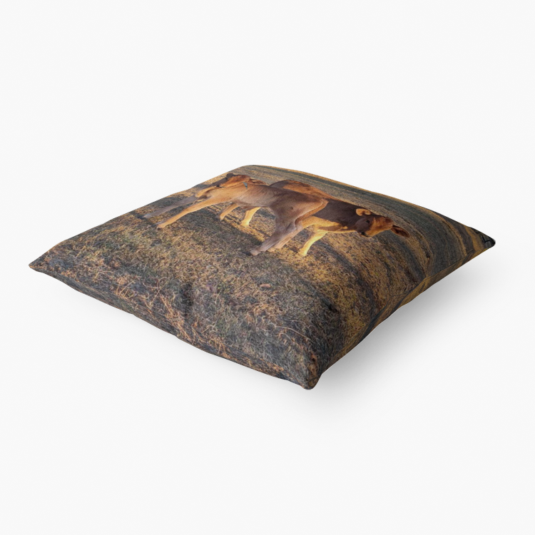 Bert & Ernie Premium Hypoallergenic Throw Pillow