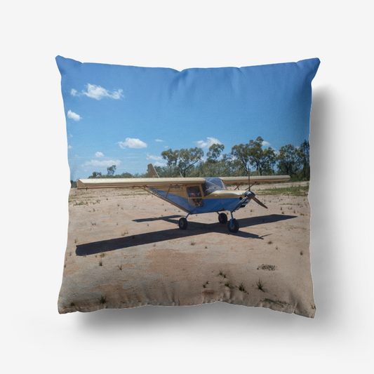 Flying Time Throw Pillow / Cushion