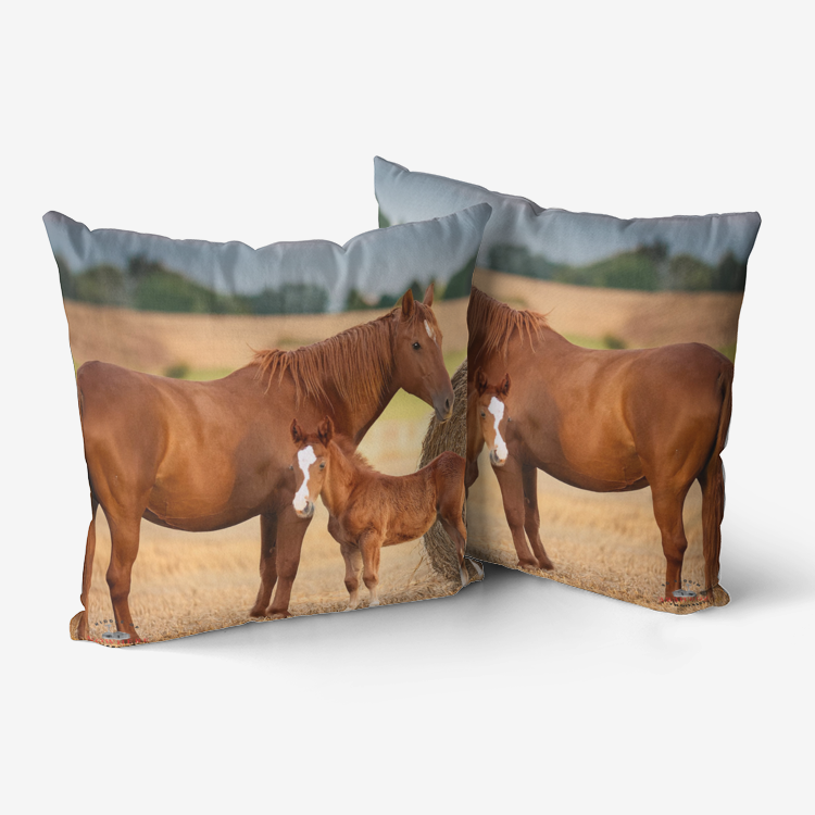 Nell & Cedar Premium Hypoallergenic Throw Pillow