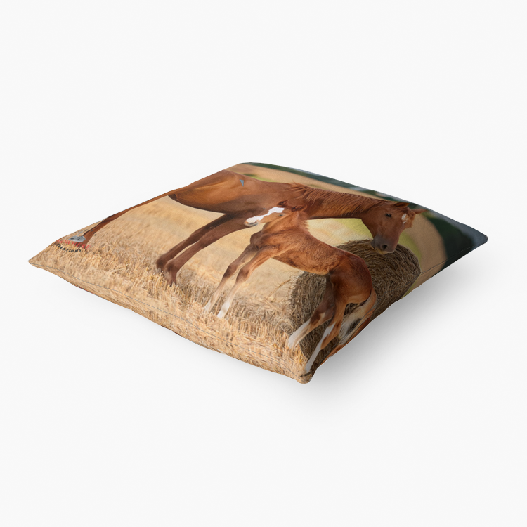 Nell & Cedar Premium Hypoallergenic Throw Pillow