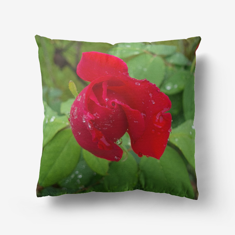 Mr Lincoln Premium Hypoallergenic Throw Pillow