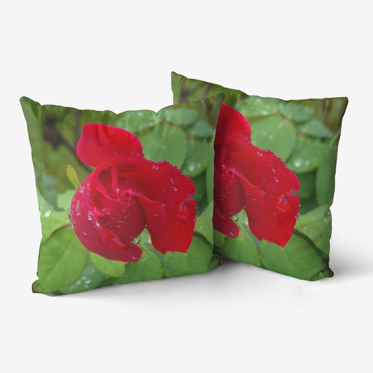 Mr Lincoln Premium Hypoallergenic Throw Pillow