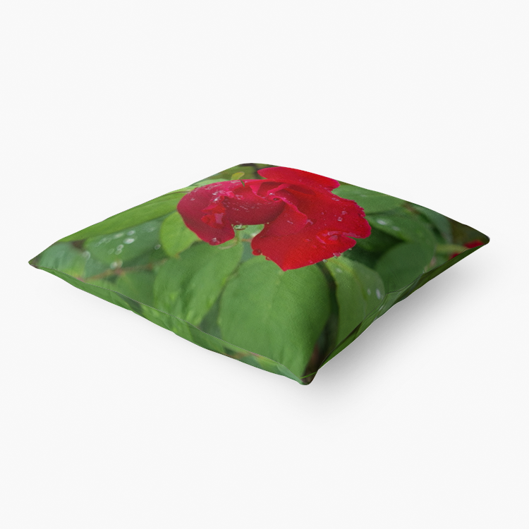 Mr Lincoln Premium Hypoallergenic Throw Pillow