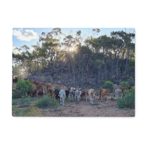 image0