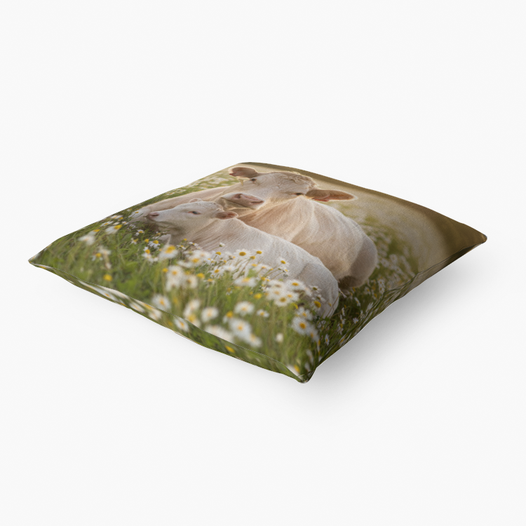 Alice Premium Hypoallergenic Throw Pillow