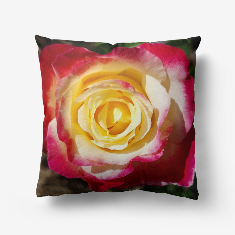 Double Delight Premium Hypoallergenic Throw Pillow