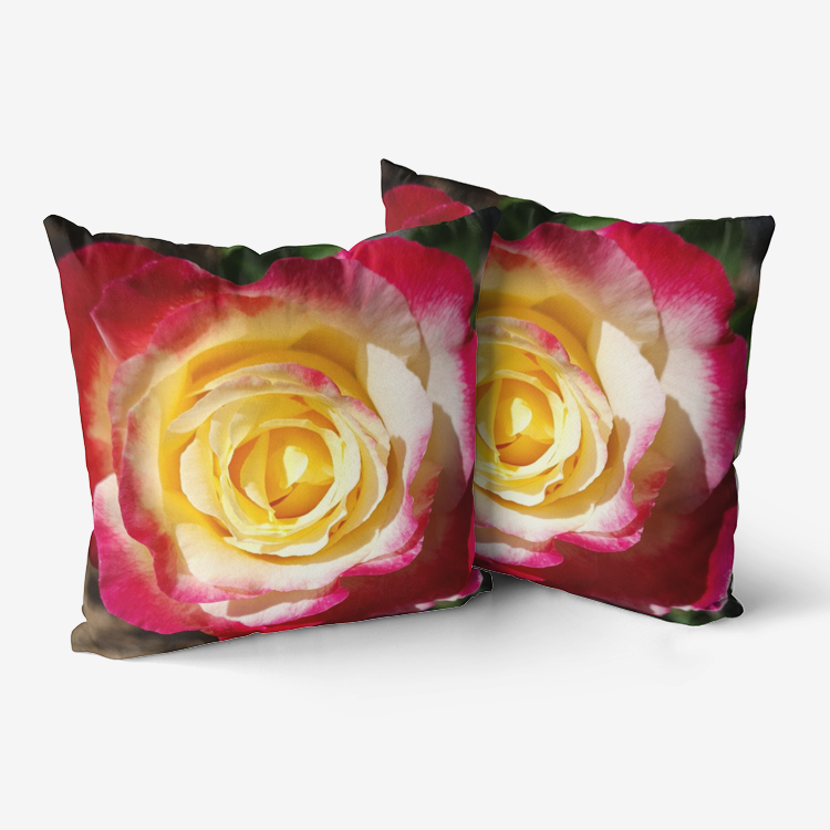 Double Delight Premium Hypoallergenic Throw Pillow