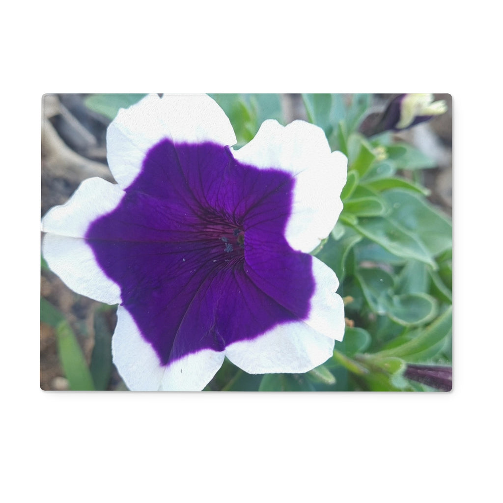 image0