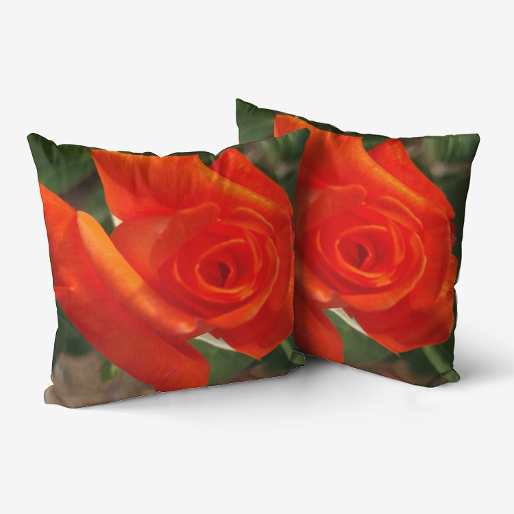 Orange Rose Premium Hypoallergenic Throw Pillow