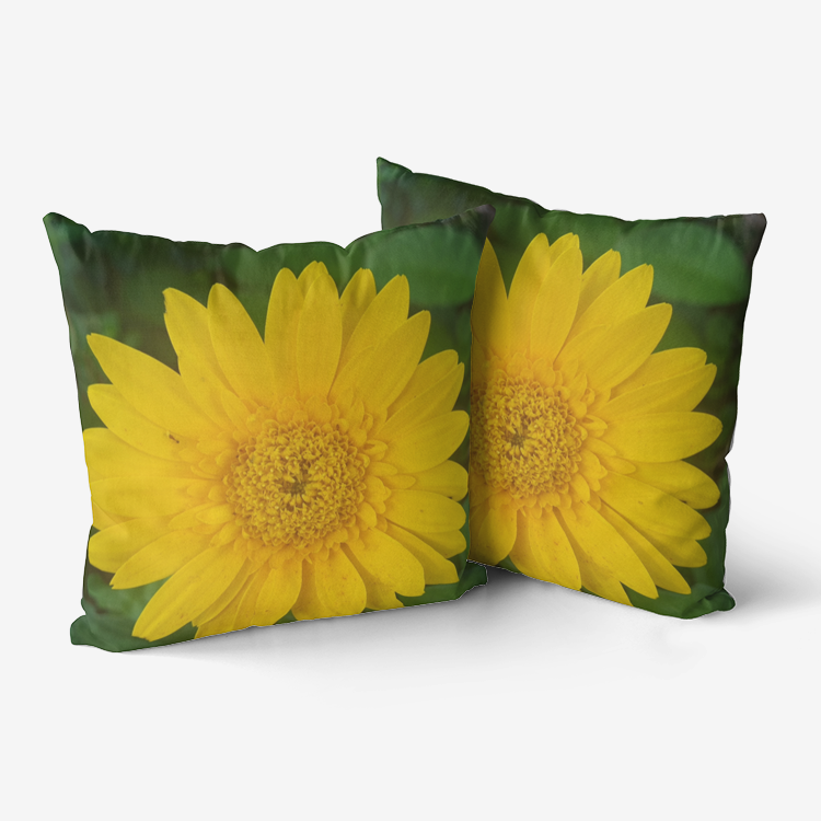 Yellow Gerbera Premium Hypoallergenic Throw Pillow